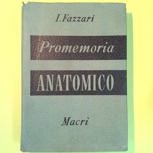 Anatomische erinnerung fazzari - erinnerung,