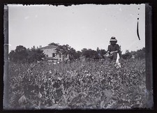 Jardinnage Foto Negative 1931