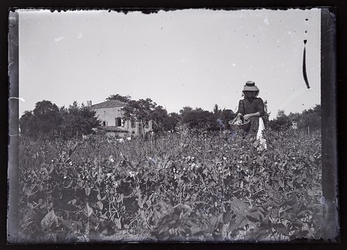 Jardinnage foto negative - jardinnage,