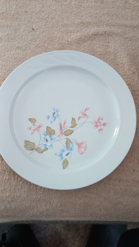 Flache teller firma ilmenau - flache,