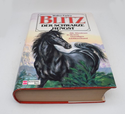 Blitz der schwarze - blitz,