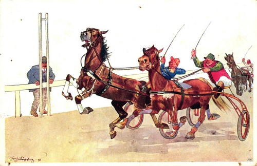 Pferd pferde pferderennen - pferde,,