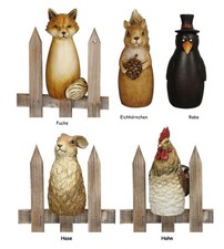 Zaunhocker Rabe Eichhörnchen