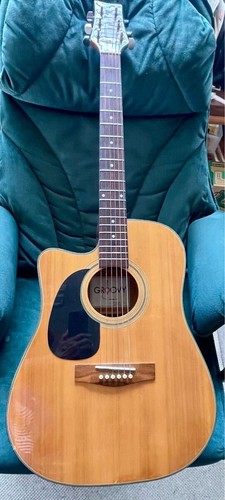 Akustikgitarre groovy - e-akustikgitarre,