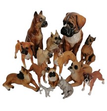 Konvolut Boxerhunde