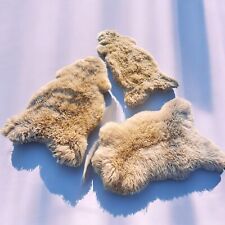 L-XXL Große Schaffelle, Echte