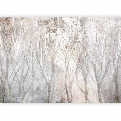 Fototapete wald bäume natur - bäume,