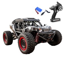 SCY 16106 1/16 RCDesert Lkw