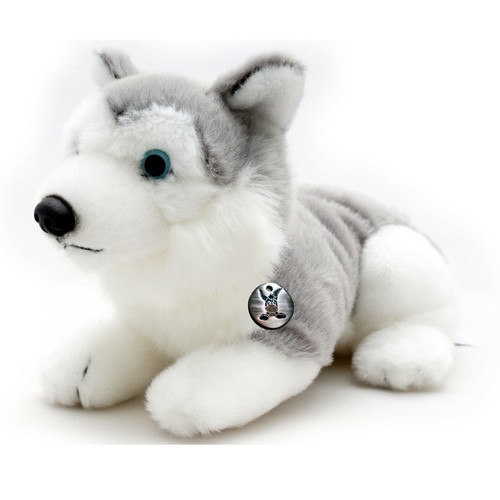 Husky iowa schlittenhund - husky,