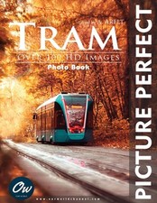 Tram: Picture Perfect Photo
