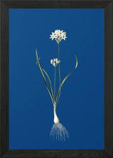 Gerahmtes Wandbild mit drei