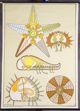 Wandbild Dekoration Maritime Wandkarte Stachelhäuter Seeigel Seeigel