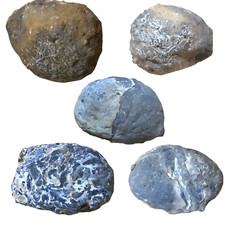 Geode 5 Stück I Achat I geschlossen I Nussgeode I Brasilien I Glücksgeoden