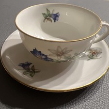 Sammeltasse 2teilig Porzellan Alpenblumen Enzian Edelweiß Bavaria Schumann