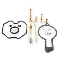 Vergaser Reparatur Satz für