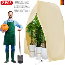 2 Stück Set XXL Pflanzen