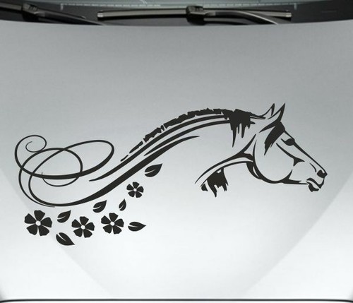Aufkleber auto motorhaube - aufkleber,