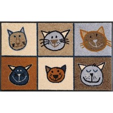 WASH + DRY Fußmatte 50 x 75