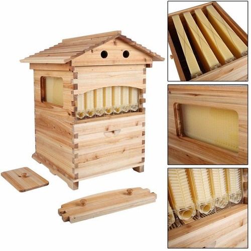 Automatisch bienenstöcke - automatisch,
