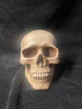 Totenkopf deko groß Halloween vintage Sammlerstück