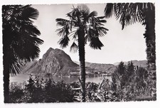 LUGANO SCHWEIZ um 1960: PALMEN