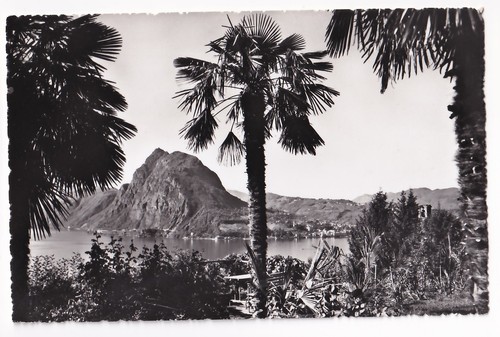 Lugano schweiz 1960 palmen - schweiz, um