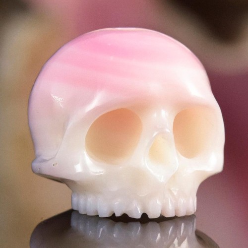 48mm pink klammer muschel - 15.48mm,
