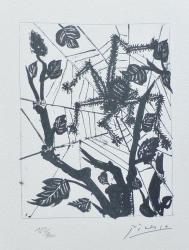 Pablo picasso buffon suite - pablo,