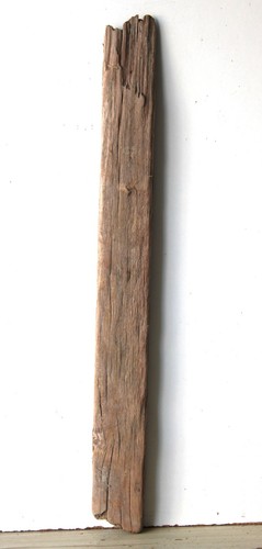 Treibholz schwemmholz - treibholz,