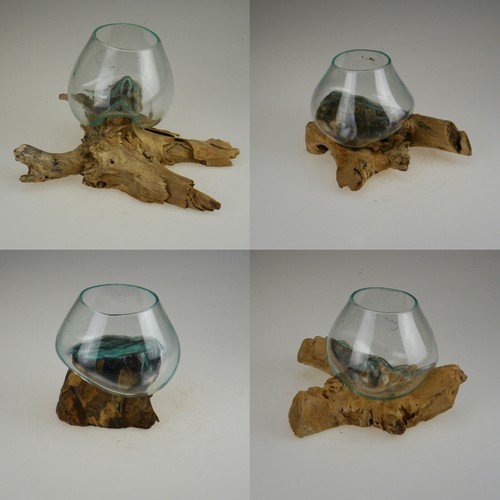 Holzwurzel kaffeebaum teak - holzwurzel,