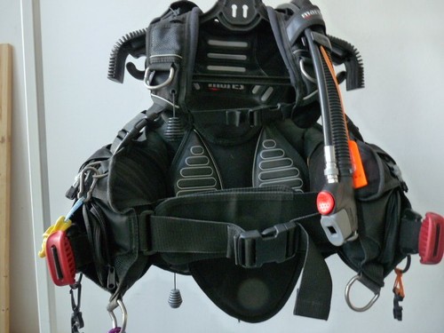 Tarierjacket dragon von - tarierjacket,