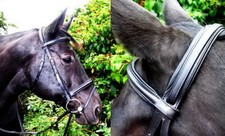 FSS COMFORT Kopfstück