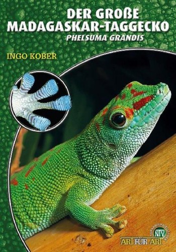 Der große madagaskar taggecko - der,