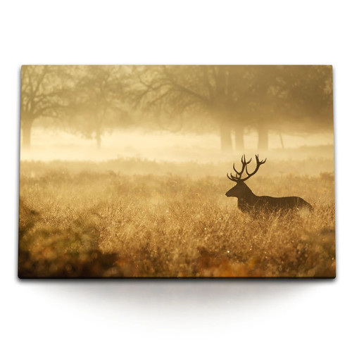 120x80cm wandbild auf leinwand - auf,