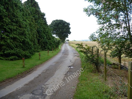 Foto 12x8 woodway road - road, burdrop