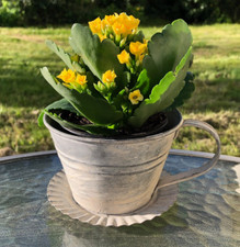 #11333 Pflanztopf Pflanztasse Tasse Metall Grau Shabby Chic Landhaus Garten Deko