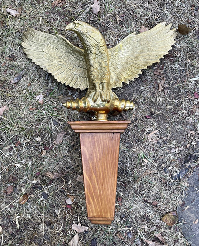 Römischer adler aquila - adler,