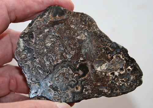 Schalenblende - , (poliert)