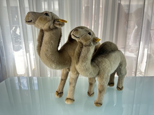 Steiff dromedar set - dromedar,