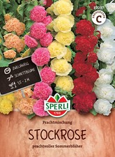 Stockrose prachtmischung - stockrose,