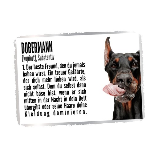 Dobermann kupiert duden hund - 2,
