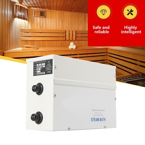 220v dampfgenerator 3kw - dampfgenerator,