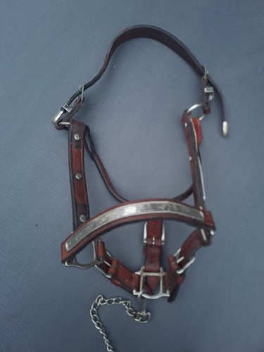 Showhalfter braun mit - , kette
