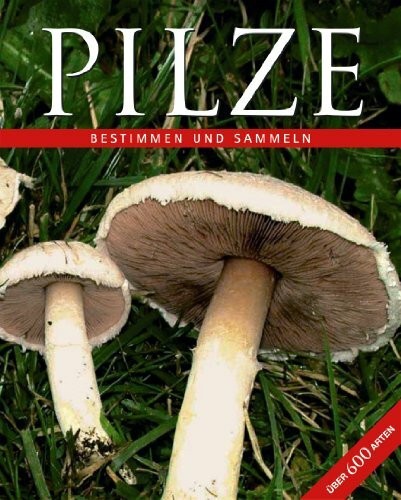 Pilze bestimmen und sammeln - pilze:,