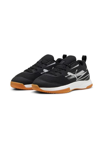 Puma varion - puma, ii