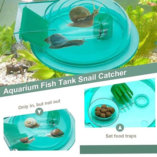 Schneckenfalle für aquarien - für,