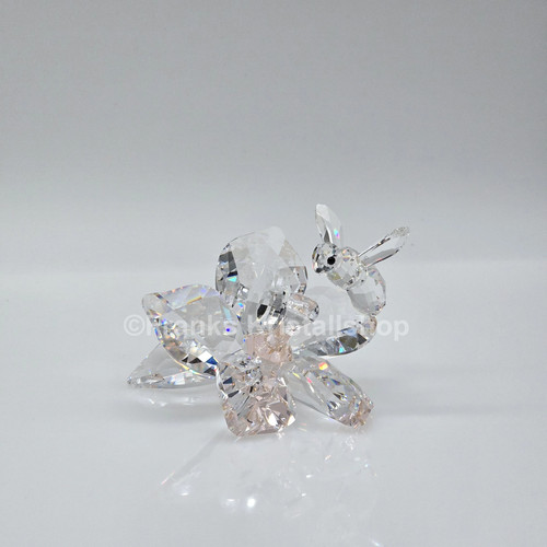 Swarovski scs - swarovski,