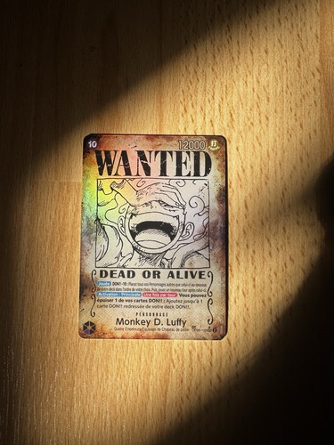 Wanted monkey ruffy fr - d,