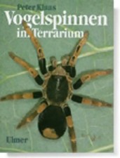 Vogelspinnen im Terrarium