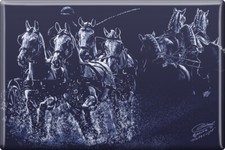 MAGNET - Pferde Fahrsport -